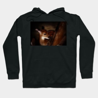 bambi - 02 Hoodie